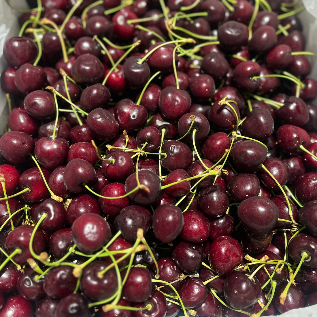 Flathead Cherries - Limited Quantity Available!
