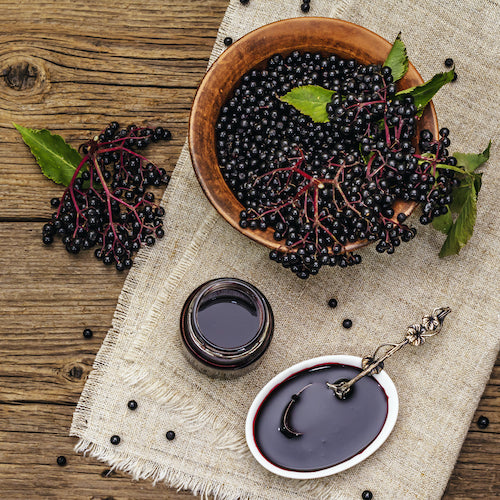 Montana Elderberry - Organic Elderberry Syrup