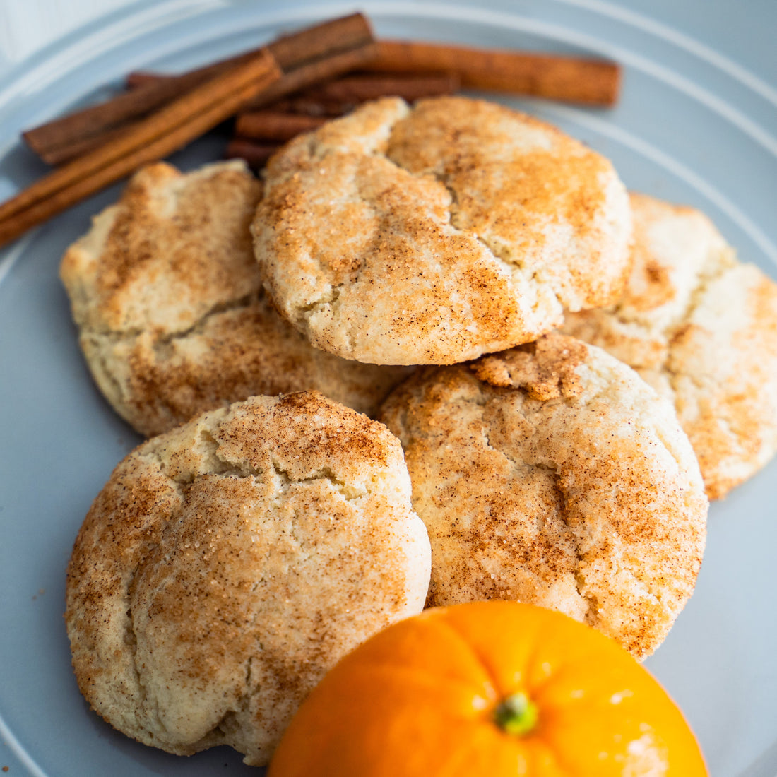 Frozen - Cookie Dough - Snickerdoodle*