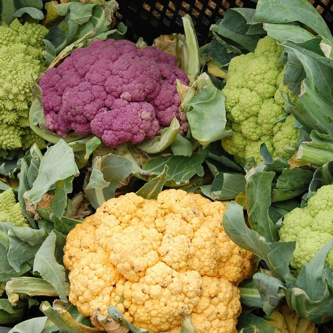 Cauliflower w/Chipotle-Cashew Sauce - Roast-at-Home - Feeds 2-4