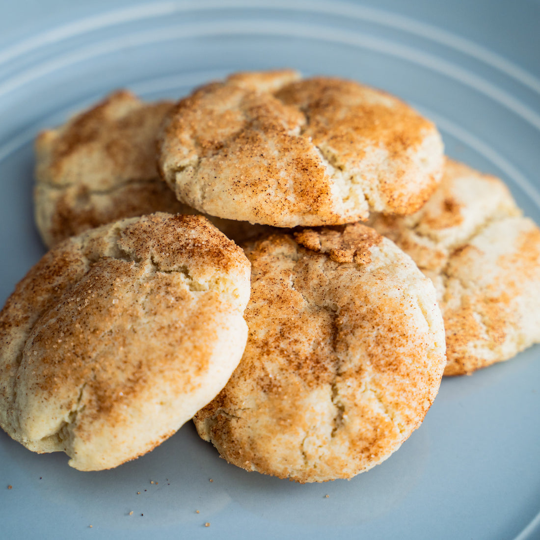 Frozen - Cookie Dough - Snickerdoodle*