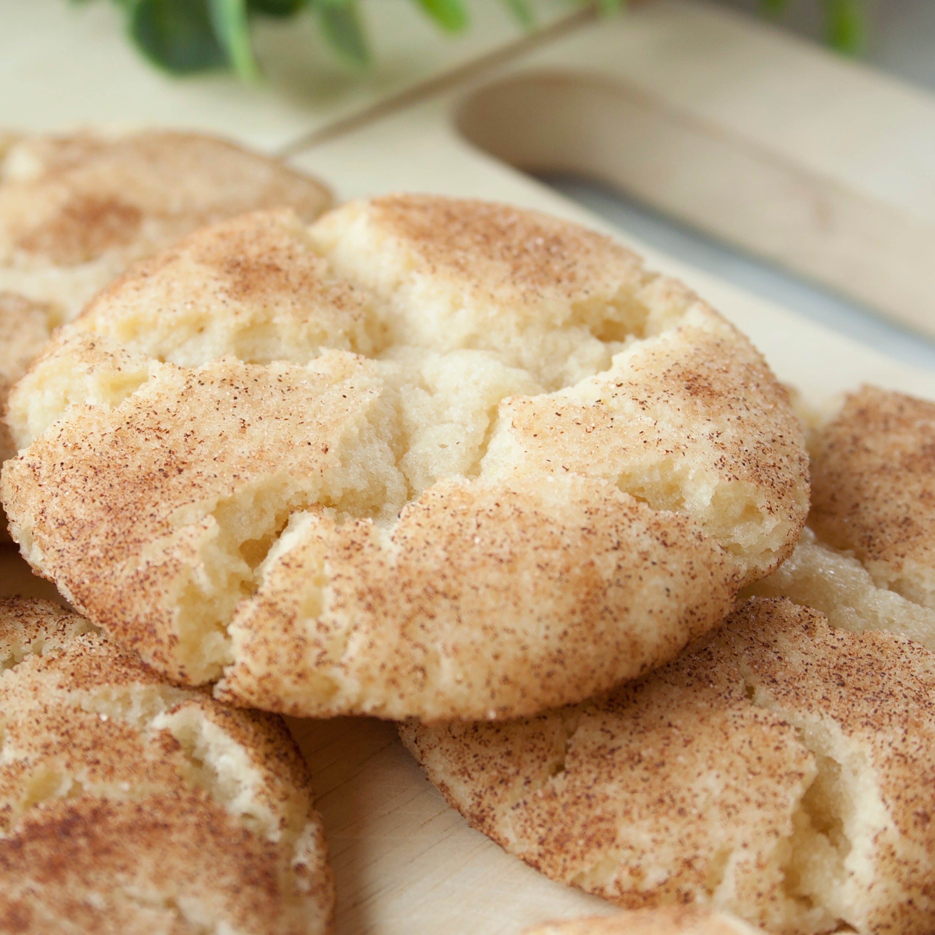 Frozen Cookie Dough Snickerdoodle* Whole and Nourished