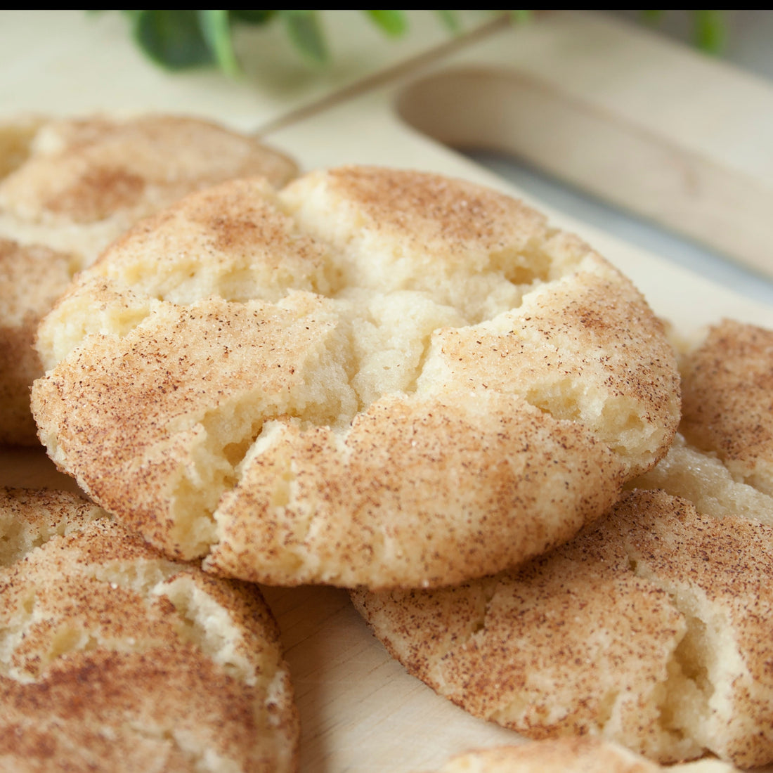 Snickerdoodle Cookies